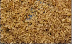 Matta Vadi
