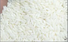 Sona Masoori Steam Rice