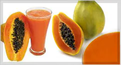 Papaya Puree & Concentrate