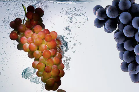 Grapes Pulp / Puree
