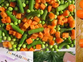 IQF Vegetables