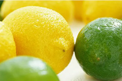 Lemon Pulp / Puree
