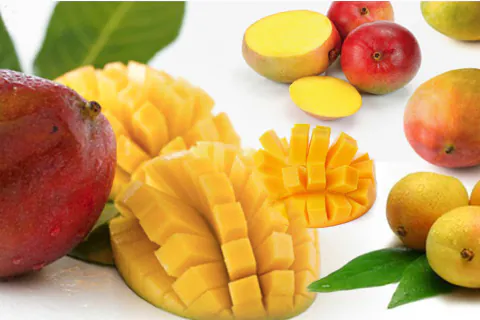 Mango Pulp / Puree