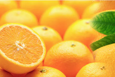 Orange Pulp / Puree