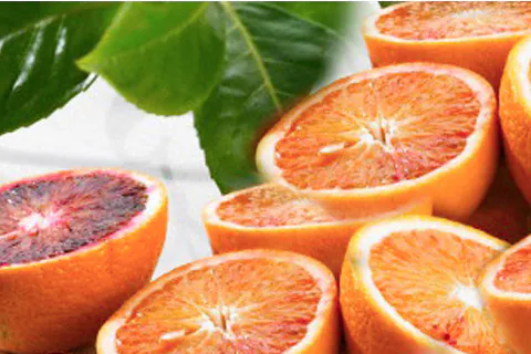 Sicilian Orange Pulp / Puree